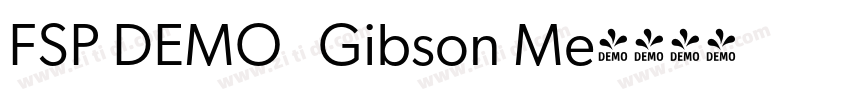 FSP DEMO   Gibson Me字体转换